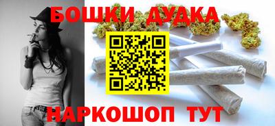 индика Новозыбков