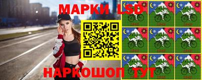 индика Новозыбков
