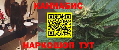 индика Новозыбков