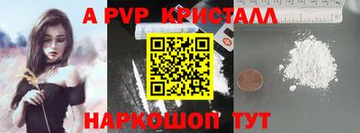 индика Новозыбков