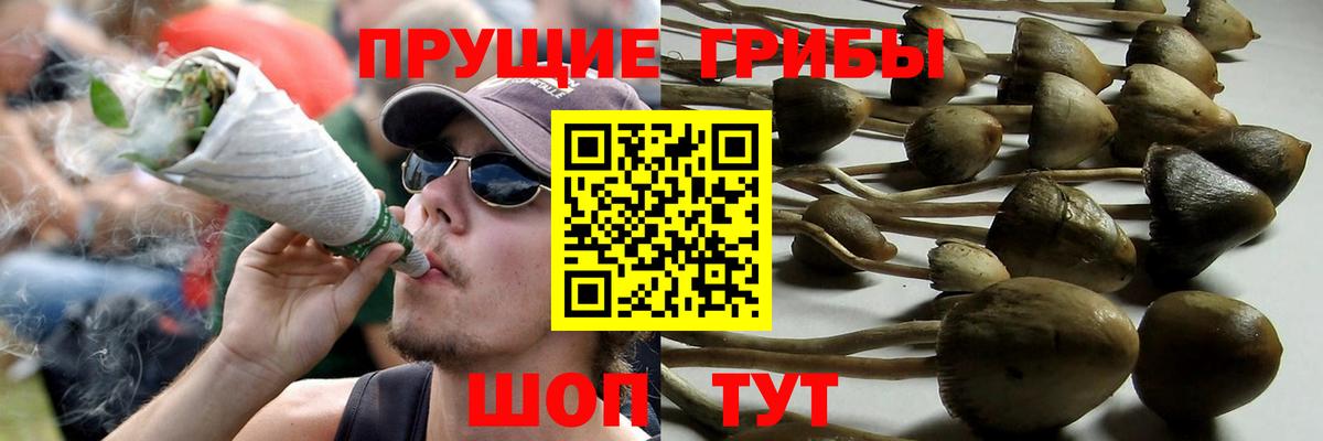 Псилоцибиновые грибы мухоморы  Вход с VPN  дарнет шоп  Юрга 